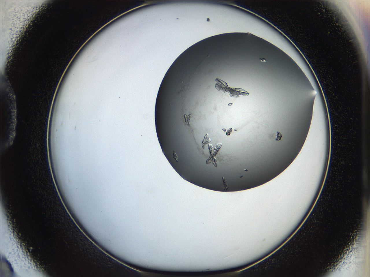05cu_D9_ImagerDefaults_8.jpg