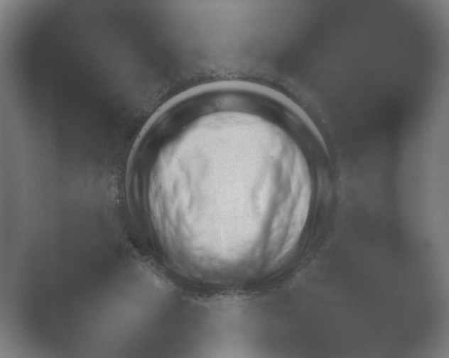 X0000054970065200509051515.png