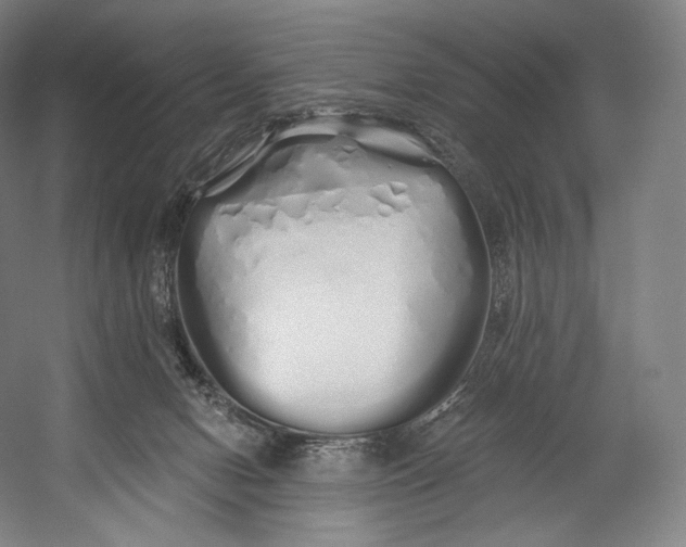 X0000055210078200508301333.png