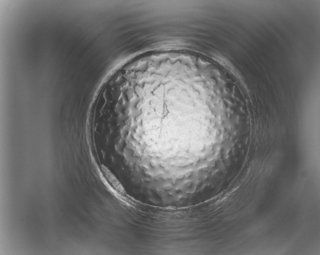 X0000055061429200508161634.png