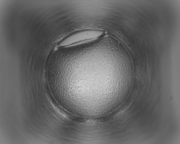 X0000055210441200508301326.png