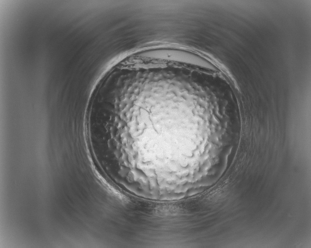X0000055061239200508161637.png