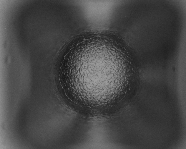 X0000043161393200411300932.png