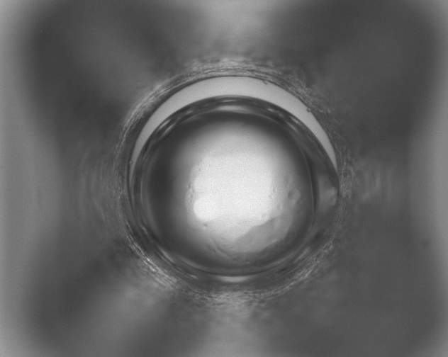X0000051110341200507141802.png