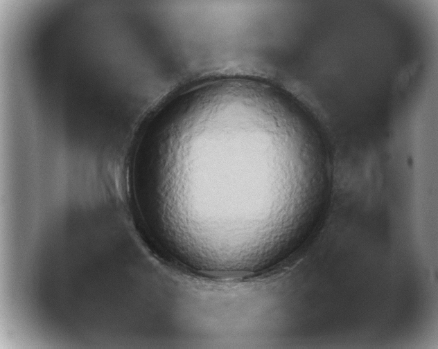 X0000041230014200411182056.png
