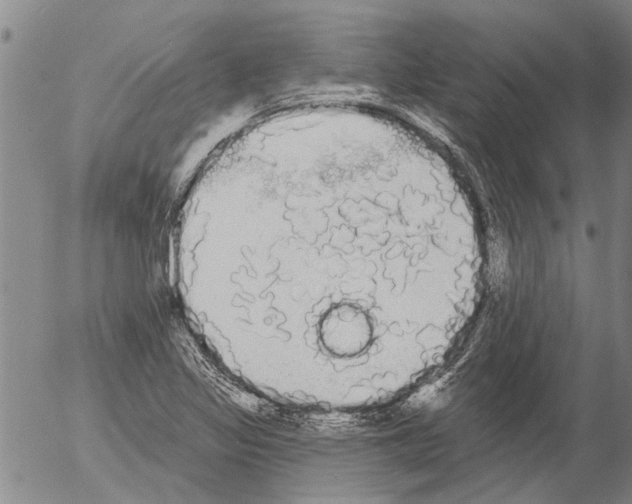 X0000054581317200508300050.png
