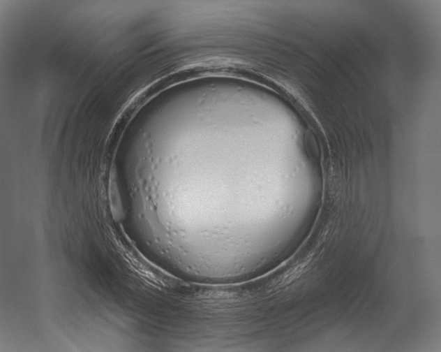 X0000055210783200508301320.png