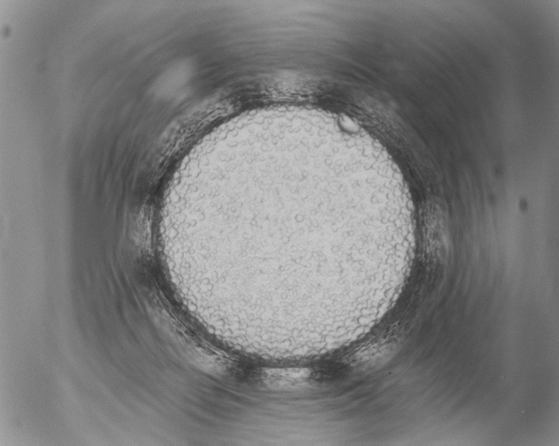 X0000054580266200508300108.png