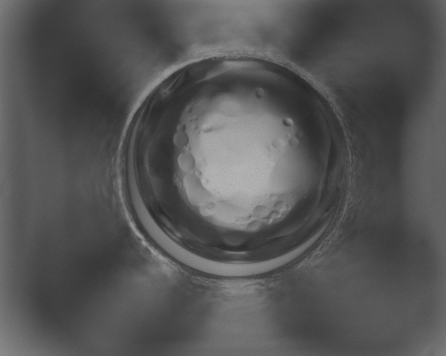 X0000052731440200507141534.png