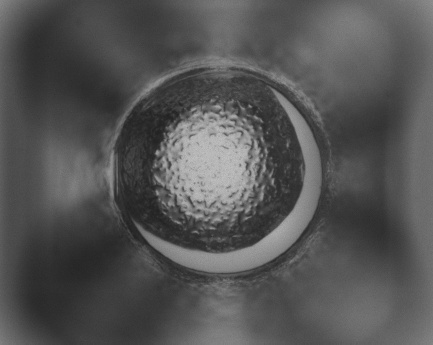 X0000047501175200503161505.png