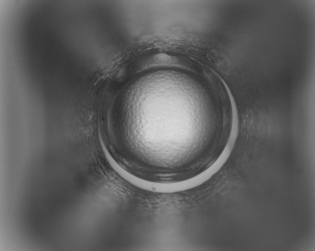 X0000051111012200507141751.png