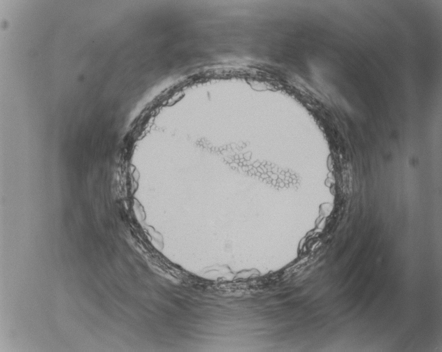 X0000054581208200508300052.png