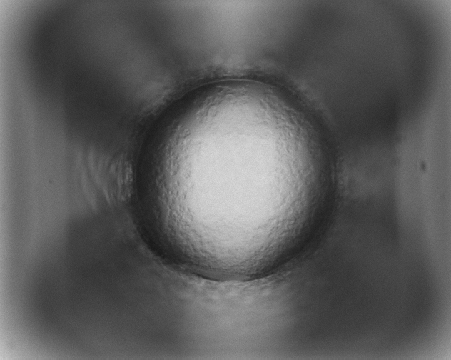 X0000041230026200411182056.png