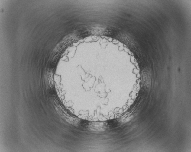 X0000054580479200508300105.png