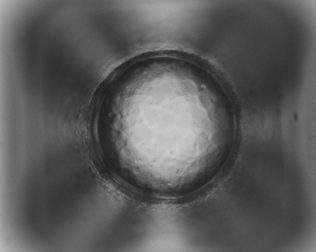 X0000042480929200412062040.png