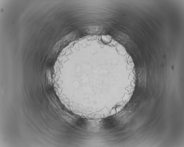 X0000054580089200508300112.png