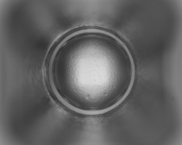 X0000054971032200509051459.png