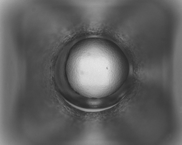 X0000038920817200409291003.png