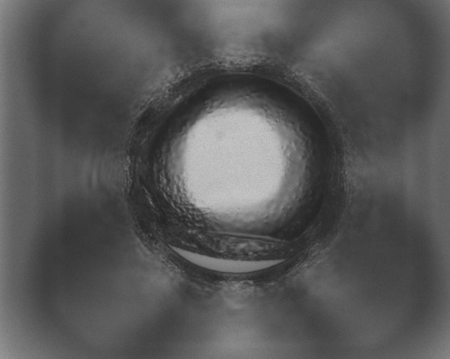 X0000040560451200411021433.png