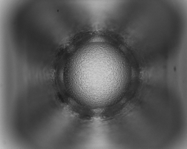 X0000042230662200411232107.png
