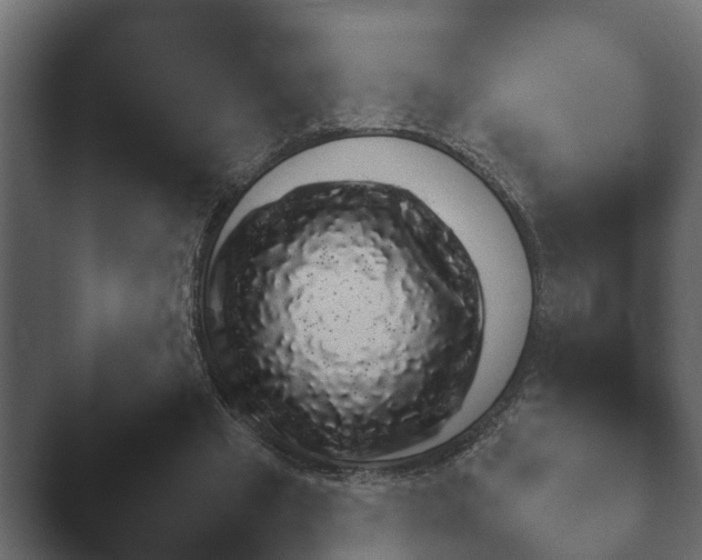 X0000047500441200503161517.png