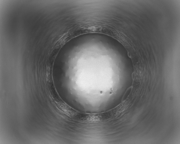 X0000055060656200508161647.png