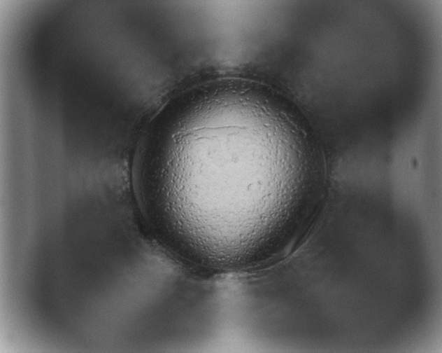 X0000041230082200411182055.png