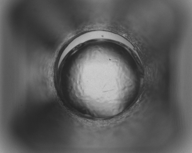 X0000044400006200412290443.png