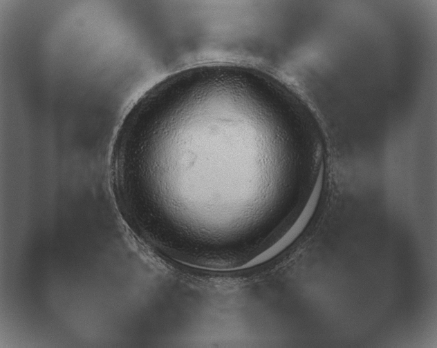 X0000040561427200411021417.png