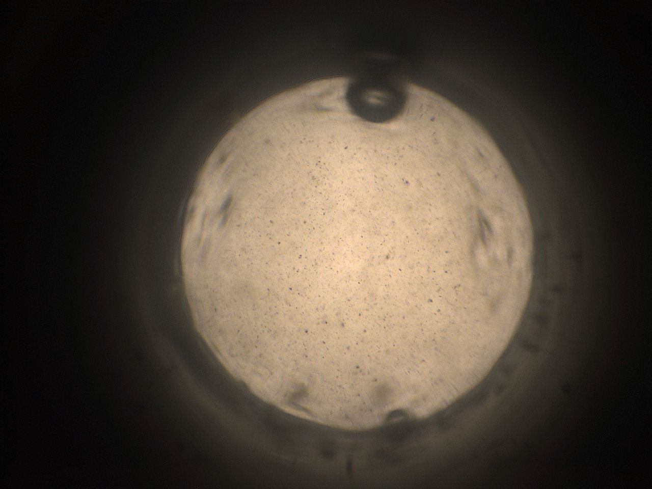 05cv_C13_ImagerDefaults_9.jpg