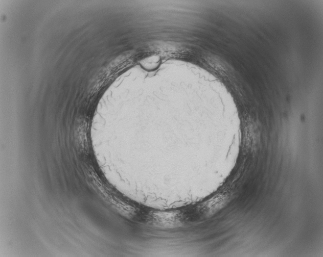 X0000054580265200508300108.png