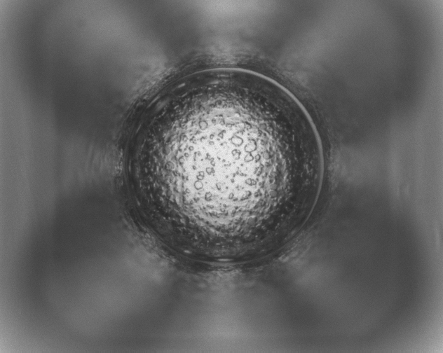 X0000040730314200410201658.png