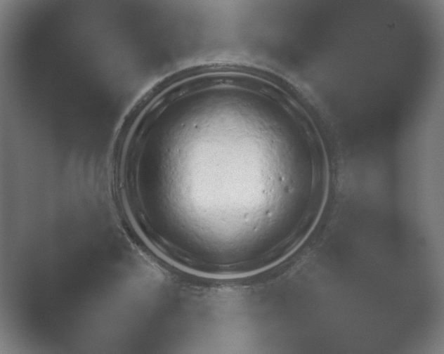X0000054971224200509051455.png