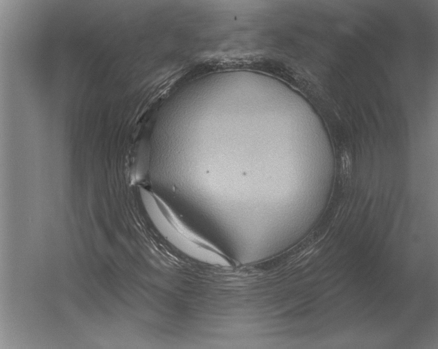 X0000055251300200509071605.png