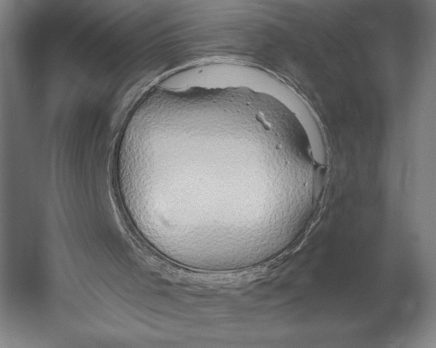 X0000055250001200509071627.png
