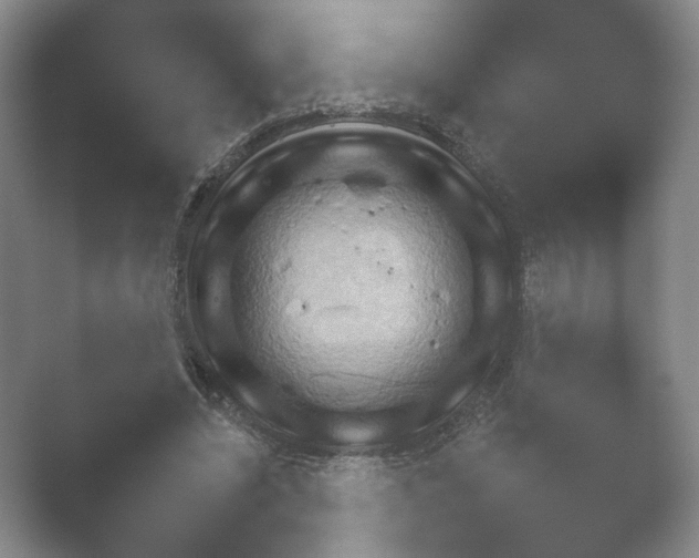 X0000052150444200507051955.png