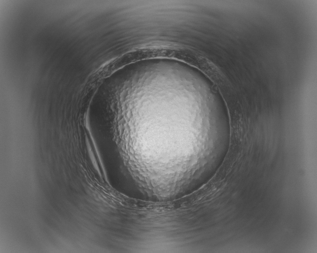 X0000055210821200508301319.png