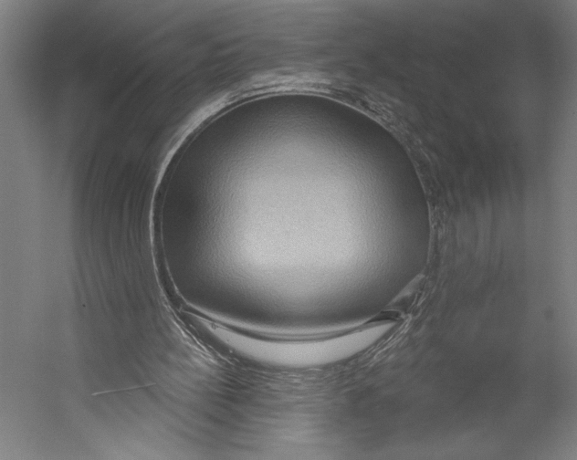 X0000055250148200509071624.png