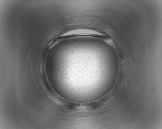 X0000054330499200508111923.png