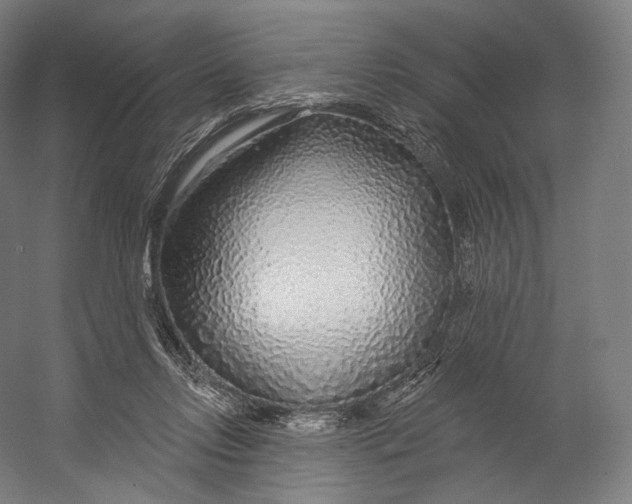 X0000055210358200508301328.png