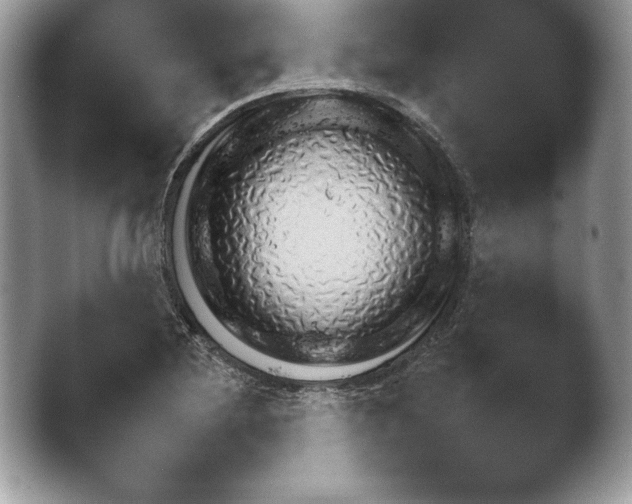 X0000043781220200412291316.png