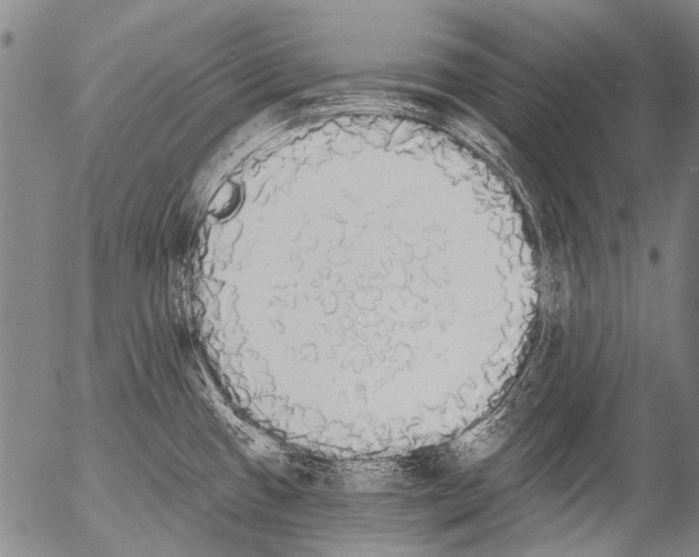 X0000054581433200508300049.png