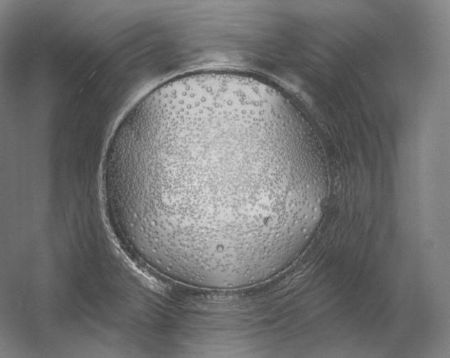 X0000055211375200508301310.png