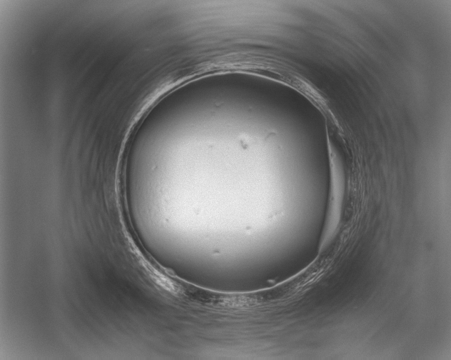 X0000055060803200508161644.png