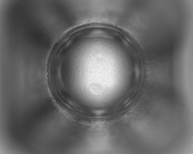 X0000052451038200507211309.png