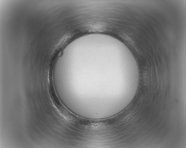 X0000054350686200508190129.png