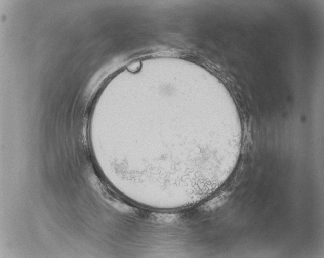 X0000054580247200508300108.png