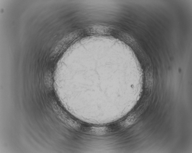 X0000054580457200508300105.png