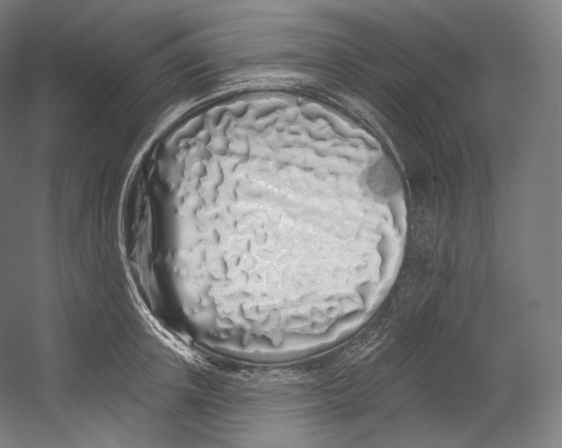 X0000055210851200508301320.png