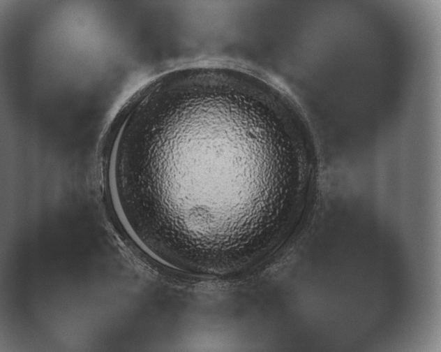 X0000040561368200411021417.png